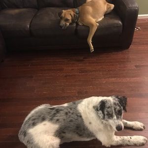 Meet your Posher, Bev